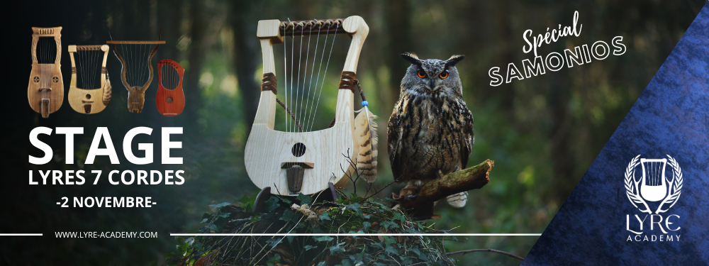 Stage Learning Lyre Sutton Hoo Trossingen Celtic Kravik Lyre Academy